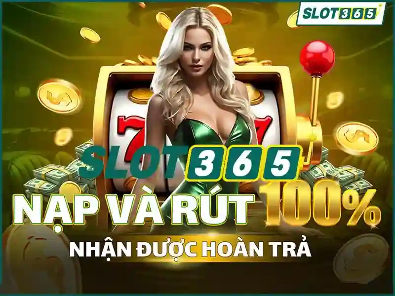 Giao diện và trải nghiệm người dùng Giao diện và trải nghiệm người dùng