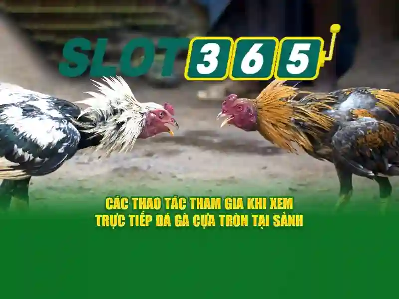 Đặc điểm nổi bật của Slot365