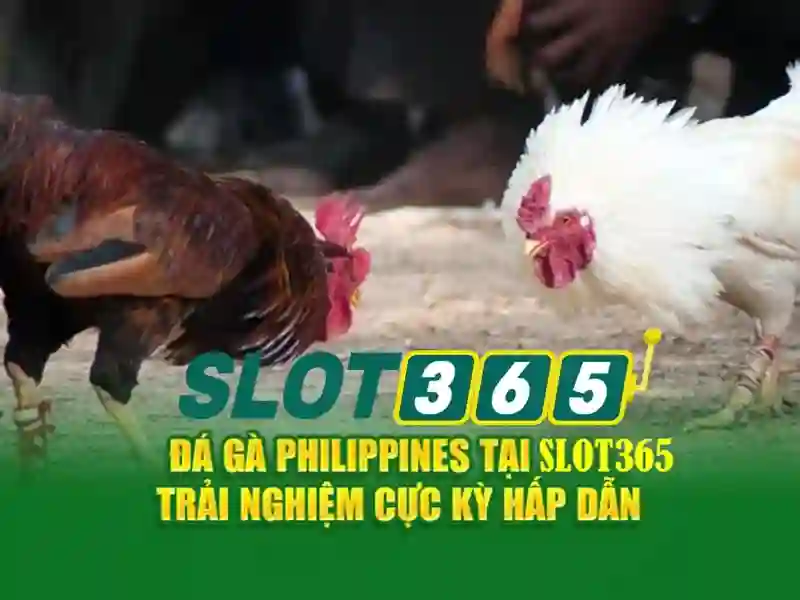 Việt Vị Trong Bóng Đá