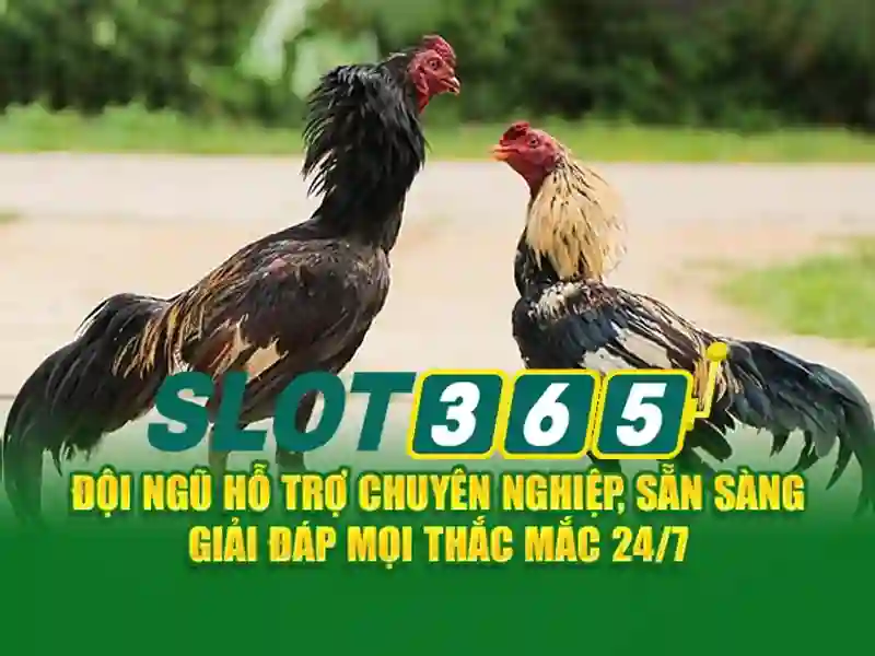 An toàn và thanh toán An toàn và thanh toán