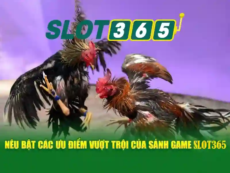 <!--IMG_PLACEHOLDER alt>An toàn và pháp lý khi chơi trên Slot365--> <!--IMG_PLACEHOLDER alt>An toàn và pháp lý khi chơi trên Slot365-->