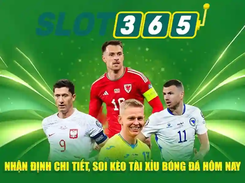 An toàn thanh toán và hỗ trợ khách hàng