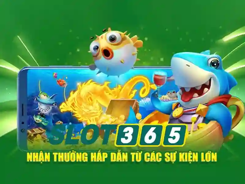 Chế độ bonus và khuyến mãi