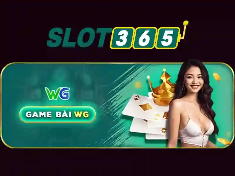 Trải nghiệm người dùng và giao diện