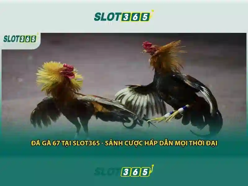 Việt Vị Trong Bóng Đá