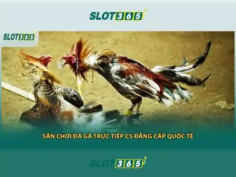 Việt Vị Trong Bóng Đá