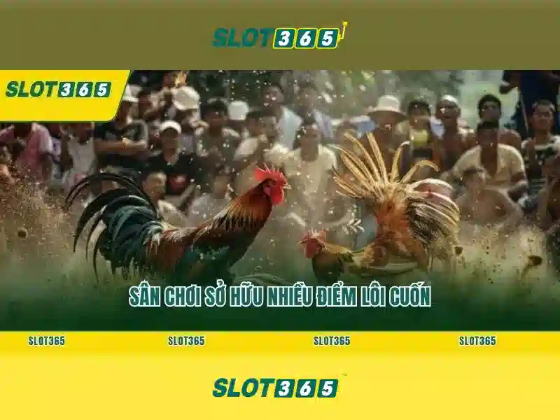 Lợi thế của Slot365