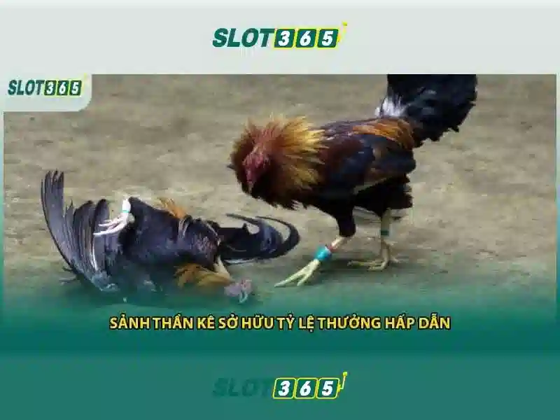 Danh mục game đa dạng và chất lượng cao