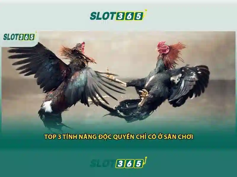 Sản phẩm và dịch vụ cốt lõi: ứng dụng Slot365