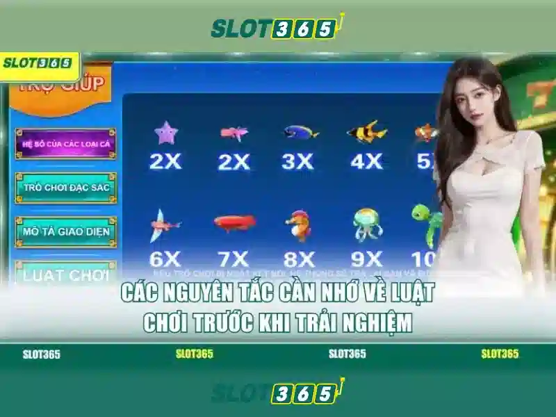 Đặc điểm nổi bật của Slot365