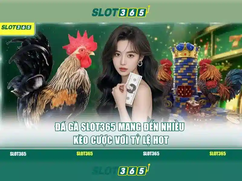 Giao diện người dùng thân thiện và trải nghiệm di động tối ưu Giao diện người dùng thân thiện và trải nghiệm di động tối ưu
