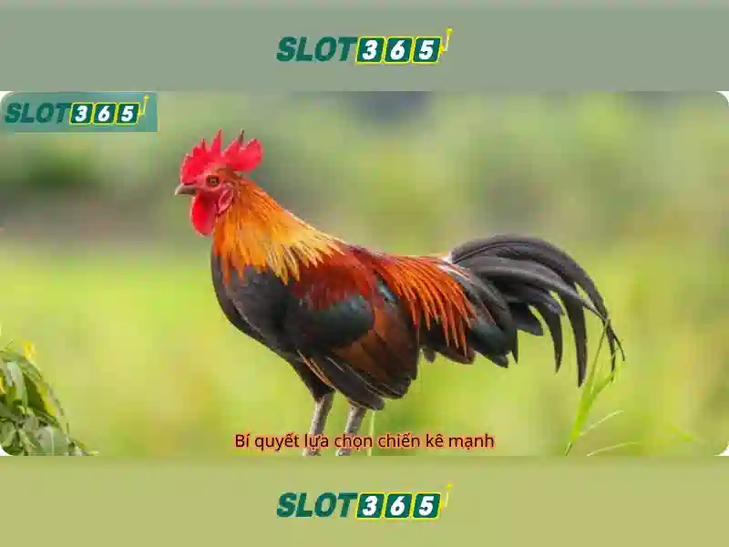 Việt Vị Trong Bóng Đá