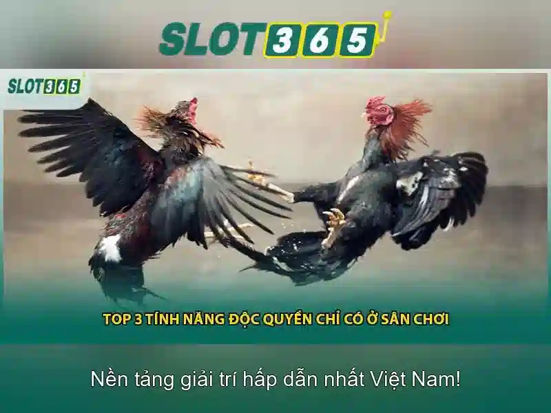 Slot365 là gì? Slot365 là gì?