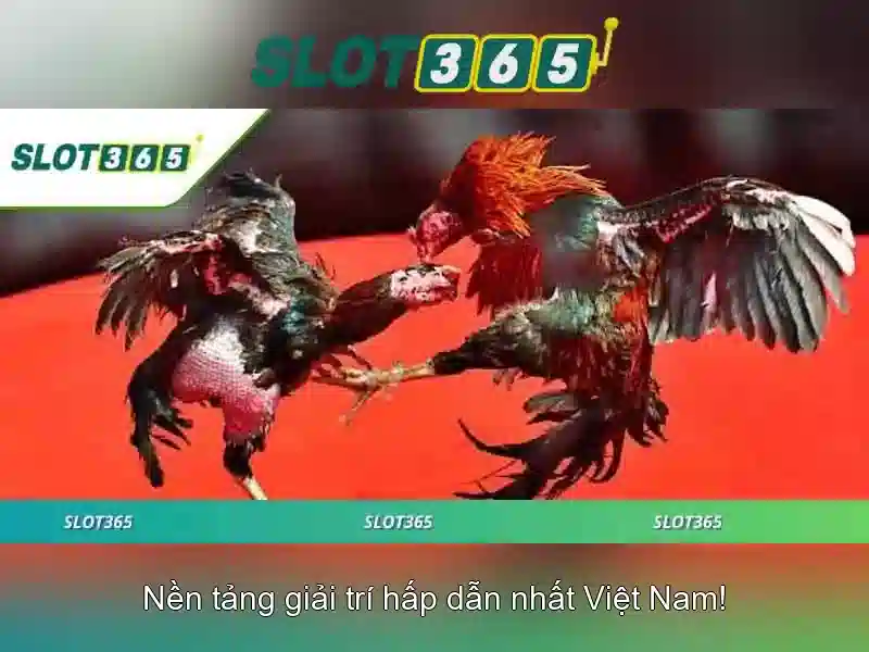 Thanh toán an toàn và bảo mật