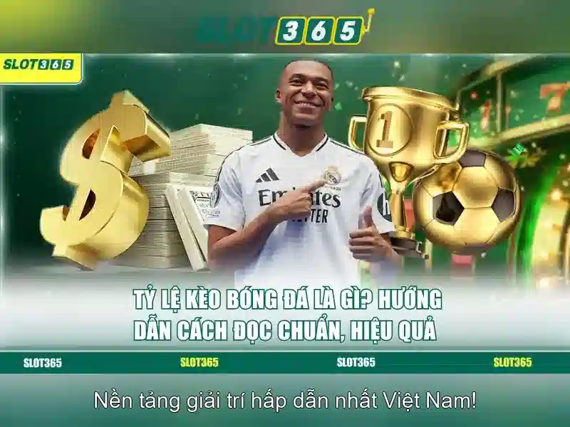 Khuyến mãi và chương trình thưởng
