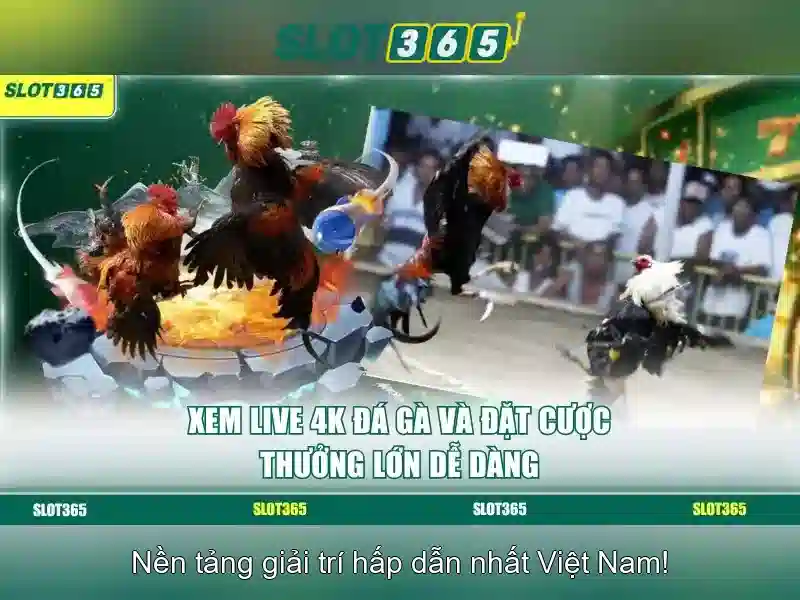 Tính năng nổi bật