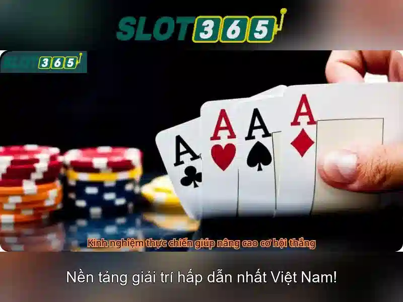 Các điểm nổi bật
