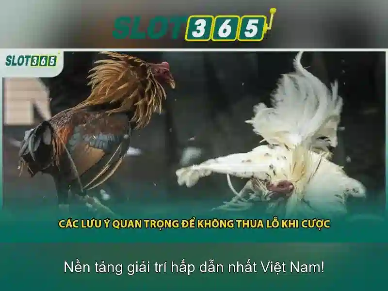 Trò chơi và nhà cung cấp Trò chơi và nhà cung cấp