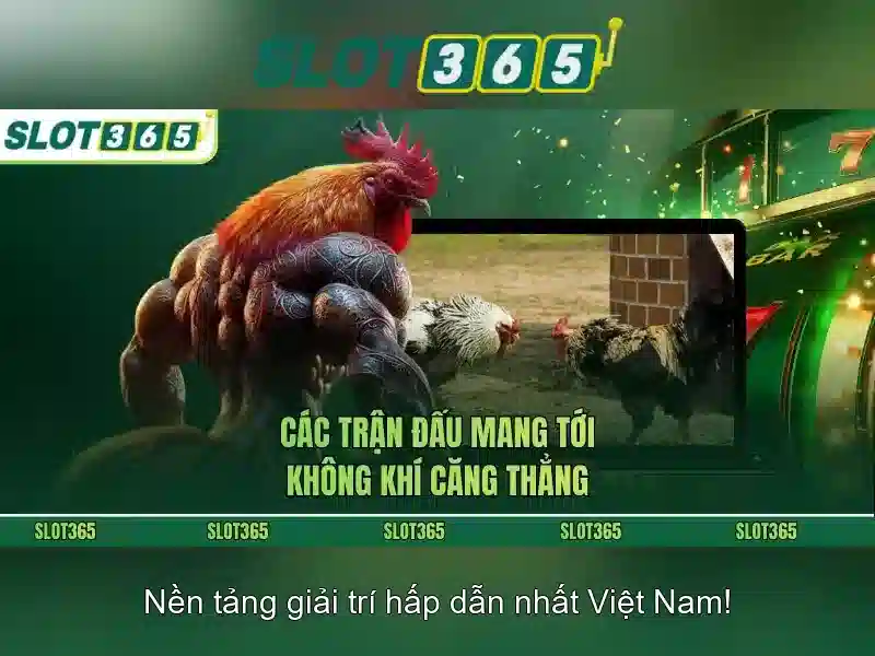 Các tính năng nổi bật của Slot365 Các tính năng nổi bật của Slot365