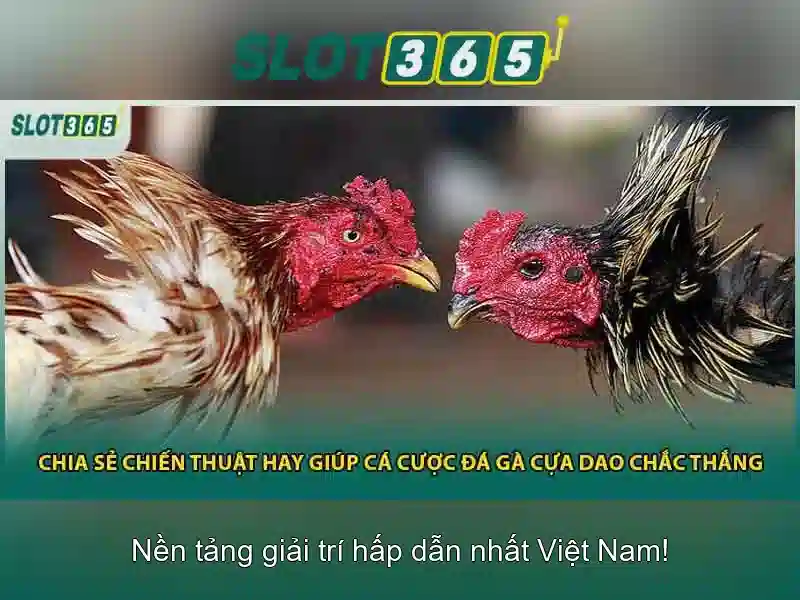 Danh mục trò chơi tại Slot365