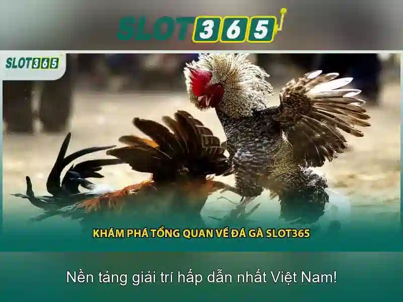 Khuyến mãi và thanh toán