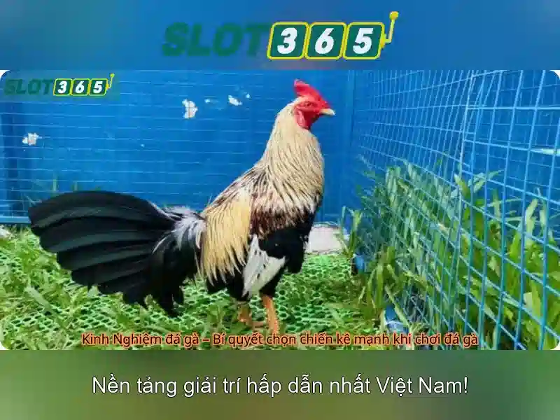 Slot365 cung cấp trải nghiệm người dùng thân thiện Slot365 cung cấp trải nghiệm người dùng thân thiện