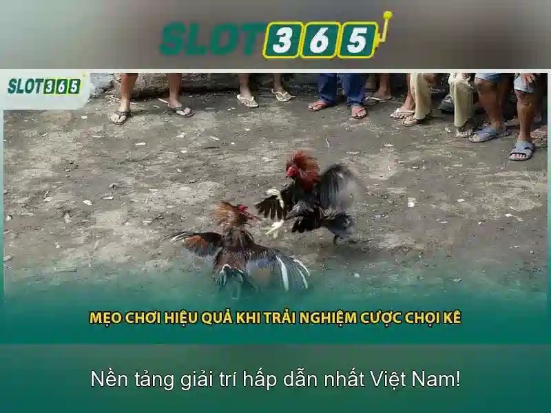 Giới thiệu về Slot365 Giới thiệu về Slot365