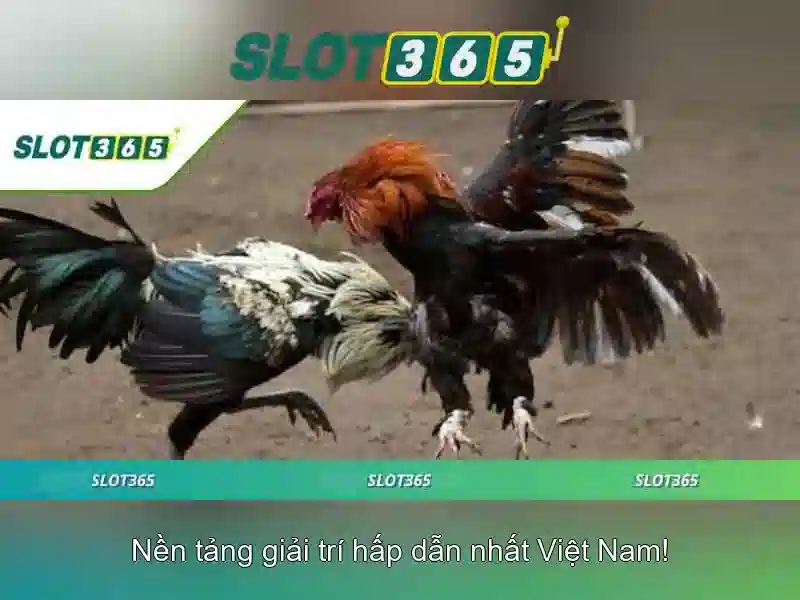 Các trò chơi đa dạng và hấp dẫn