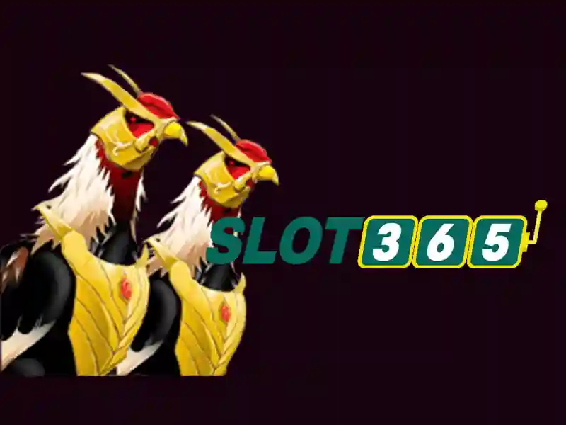 Slot365 là gì? Slot365 là gì?