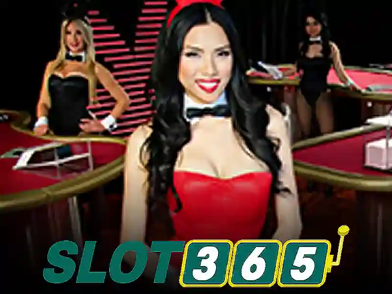 Slot365: Nền tảng slot trực tuyến phổ biến Slot365: Nền tảng slot trực tuyến phổ biến