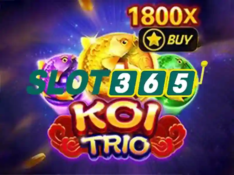 Slot365 là gì? Slot365 là gì?